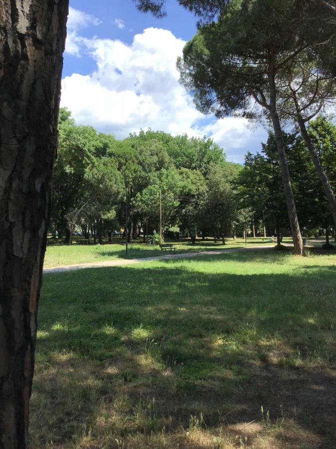 Casalella Villa Viareggio Eksteriør billede
