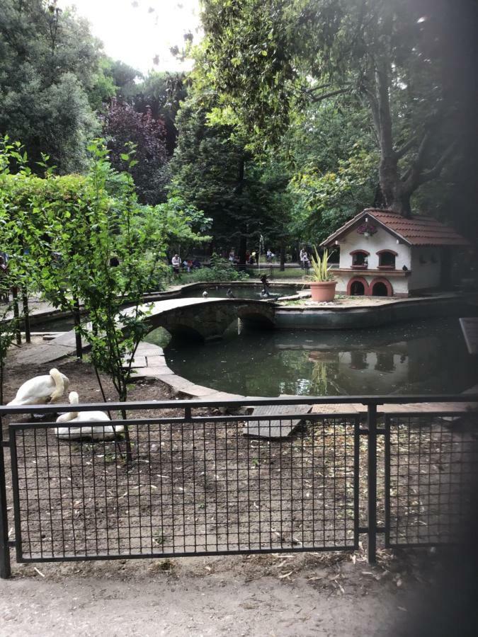 Casalella Villa Viareggio Eksteriør billede